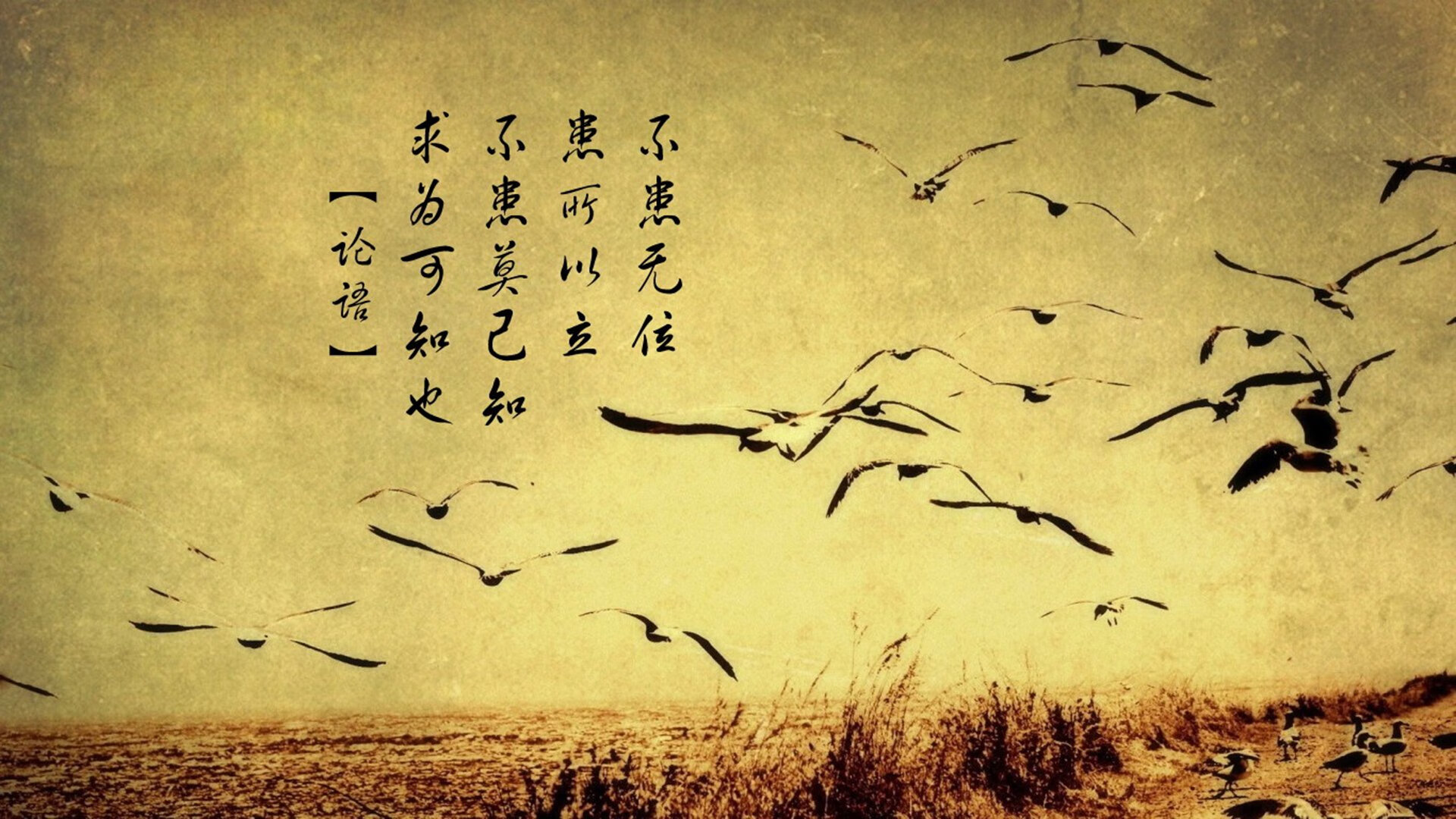 爱游戏中国官方网站平台-哥伦比亚女足在巴黎奥运会上表现出色，赢得银牌，哥伦比亚足球美女