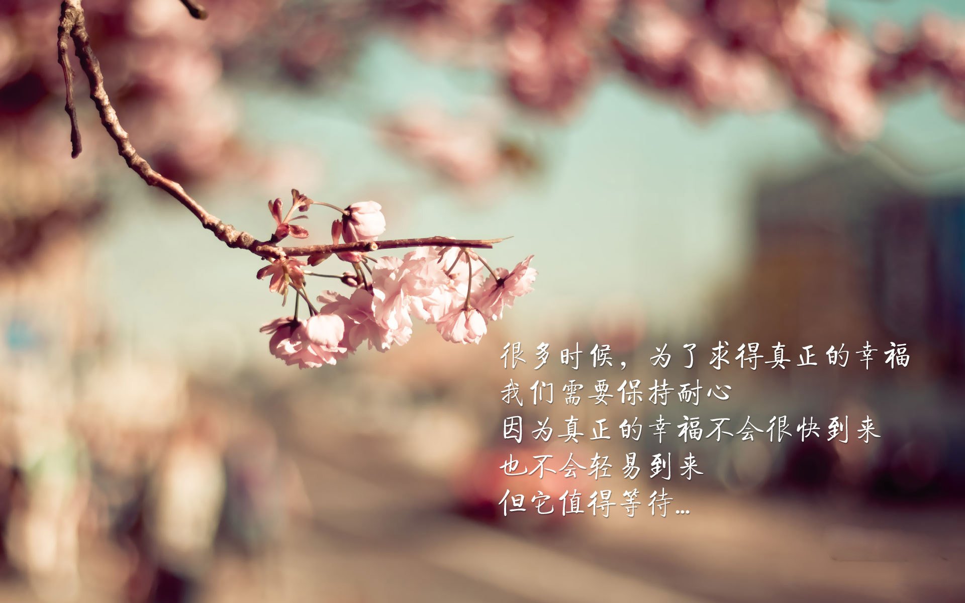 圣吉卢瓦联队主教练波科尼奥利带领球队重返巅峰。