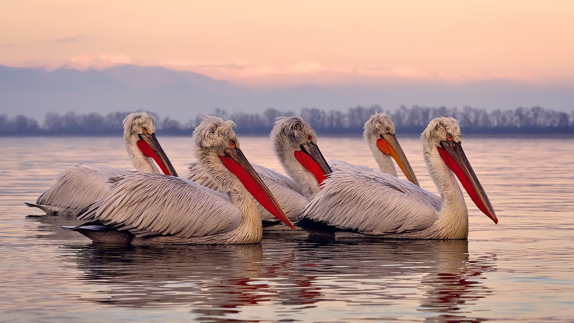 篮网球员参与开发NBA元宇宙平台,打造虚拟球队互动,篮网团队篮球