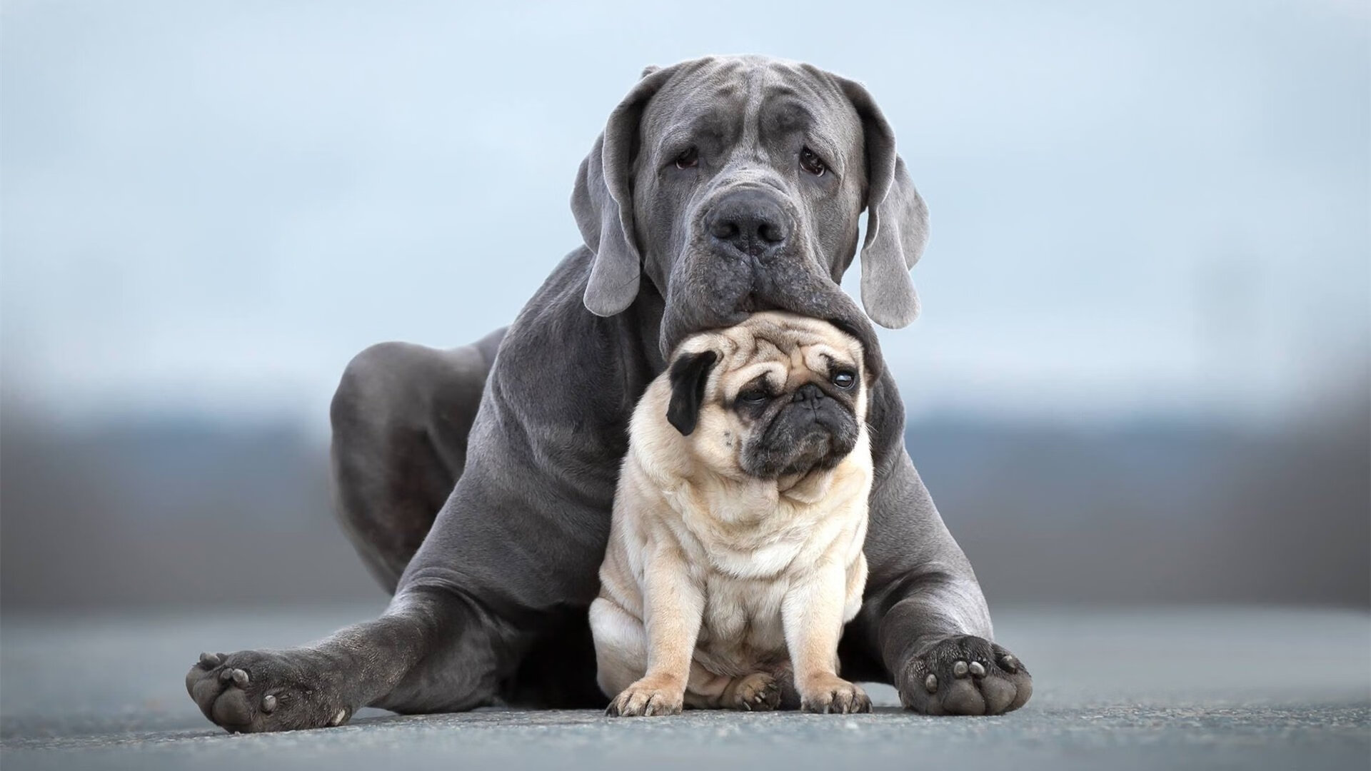 罗马在意甲联赛中排名第五,获得欧联杯资格。,罗马的意甲球队