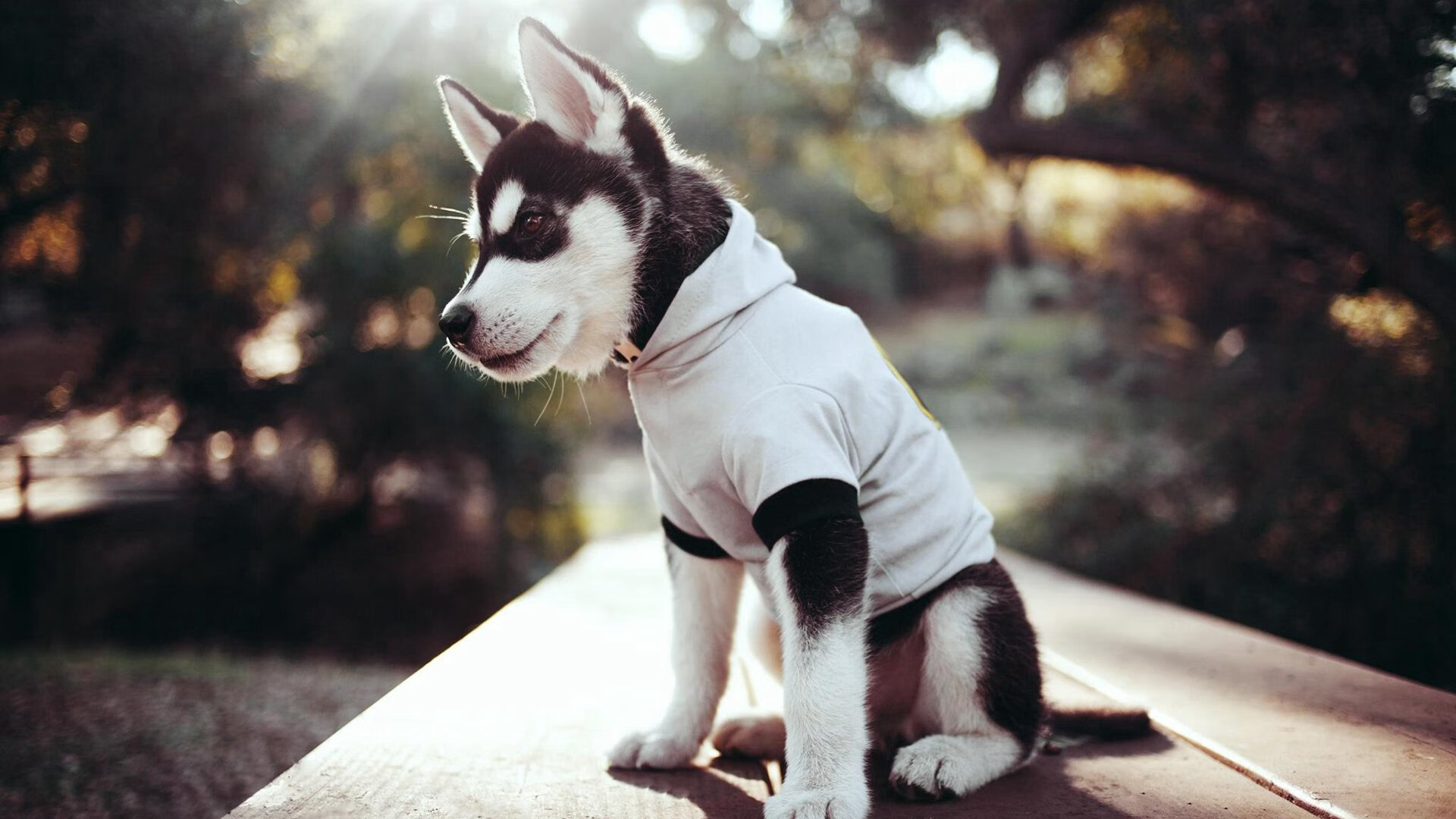 爱游戏体育（AYX）官方APP下载-青少年“篮球+全民健身”主题公益日持续火热，动员全民参与，全民健身中心篮球培训