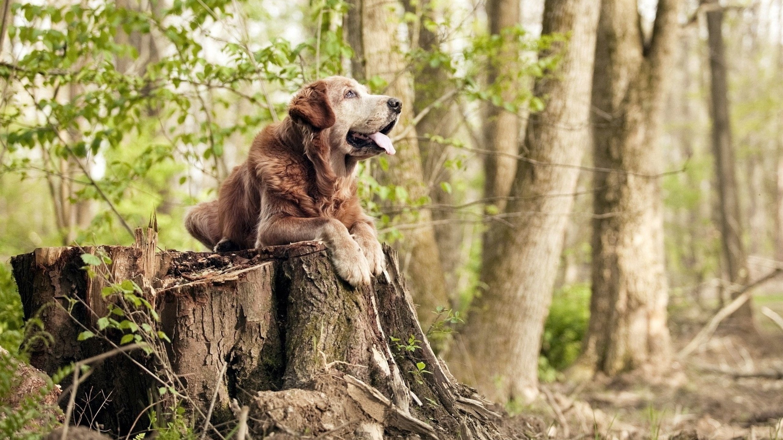 关键时刻谁才是真正的杀手,在最关键的时刻才能看出谁是真的