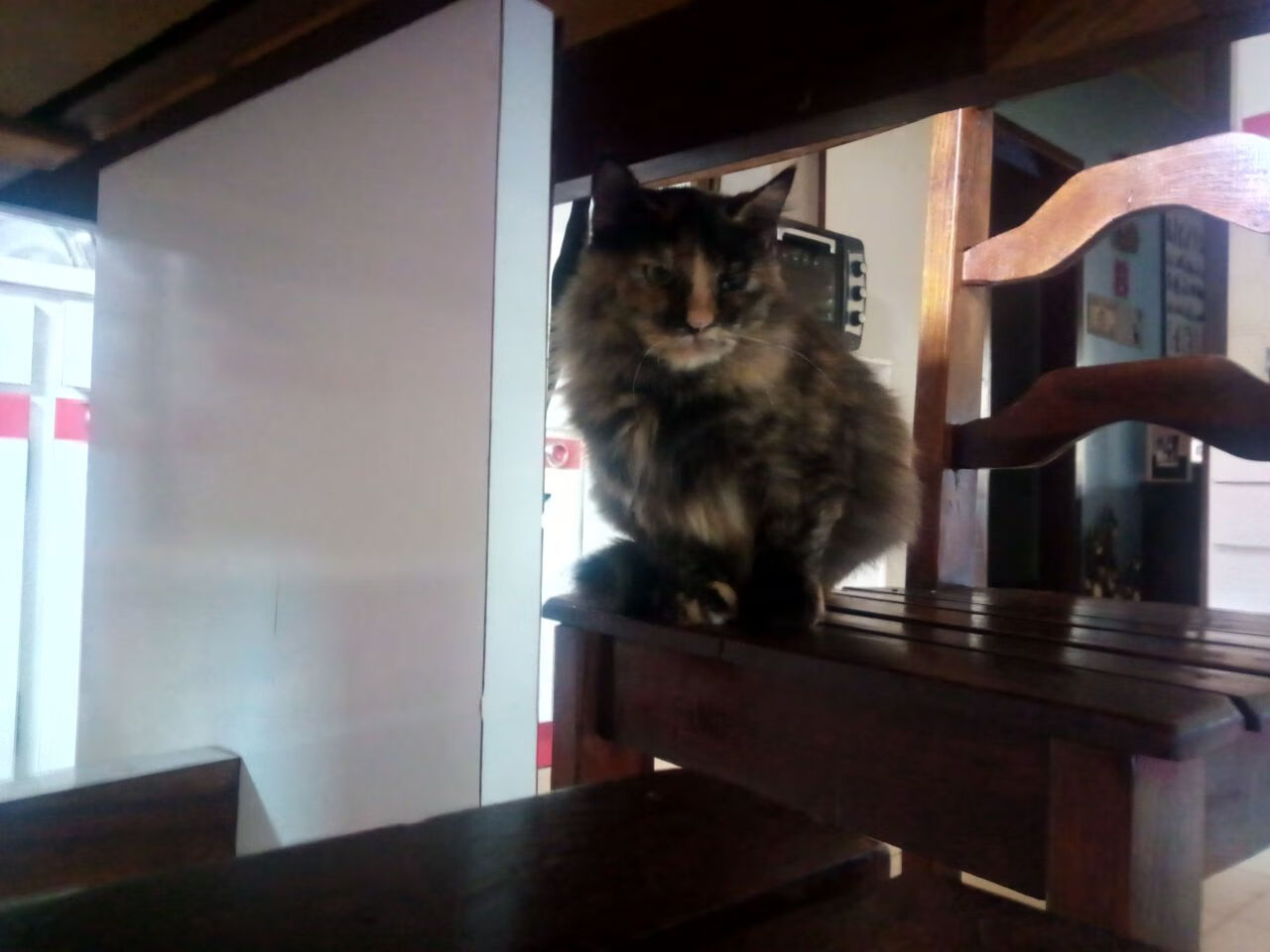 爱游戏中国官方网站平台-勒沃库森能否维持高位逼抢的强度，勒沃库森首发