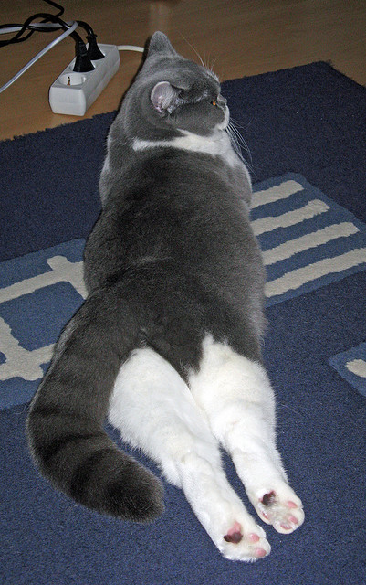 爱游戏电竞官网-拜仁慕尼黑球员在比赛中展现出色的进攻能力，夺得胜利，拜仁慕尼黑球队