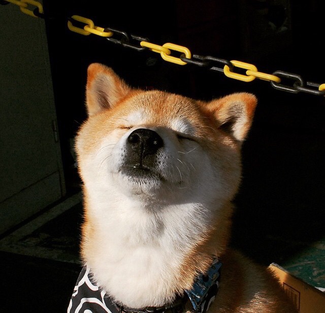 爱游戏官方网站-曼城客场不敌尤文图斯，憾失半决赛资格！，曼城对尤文图斯