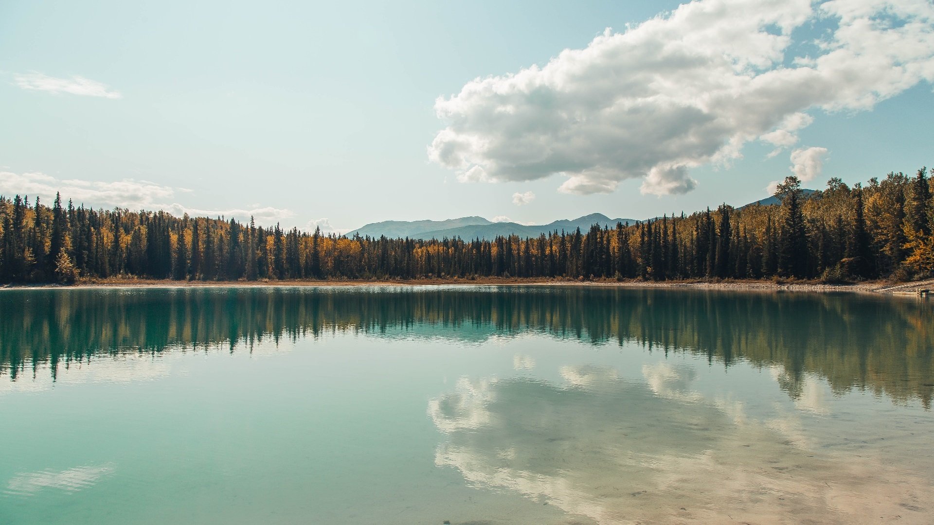 维达德卡萨布兰卡在非洲冠军联赛中晋级八强,大伟卡萨布兰卡