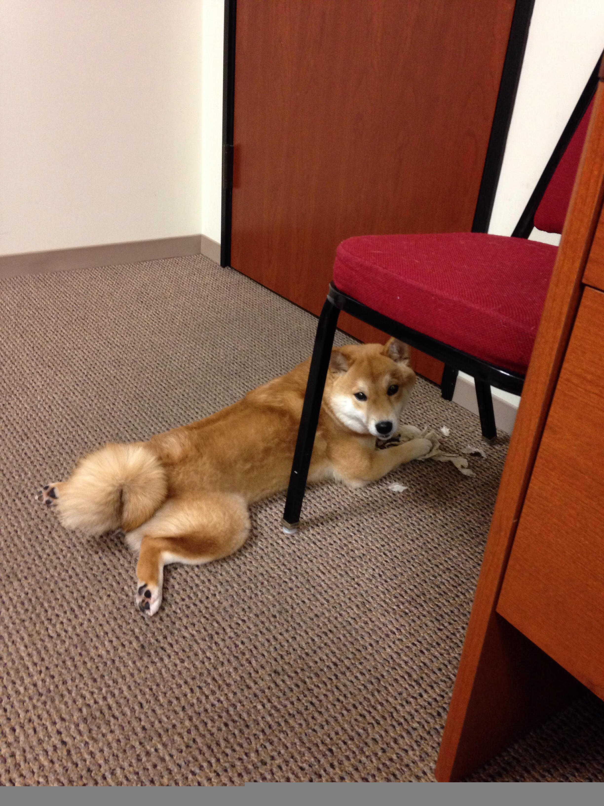 爱游戏在线登录入口-青少年篮球竞赛组织管理创新，青年篮球赛方案