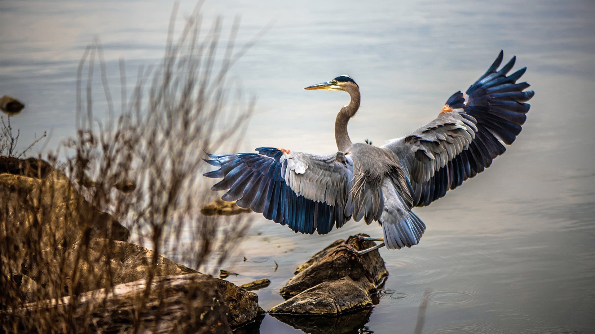 世界冰壶青年锦标赛中国队喜获佳绩,中国冰壶世锦赛冠军