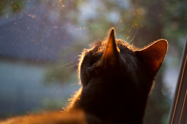 中国足球比赛技术指标,足球比赛技术统计