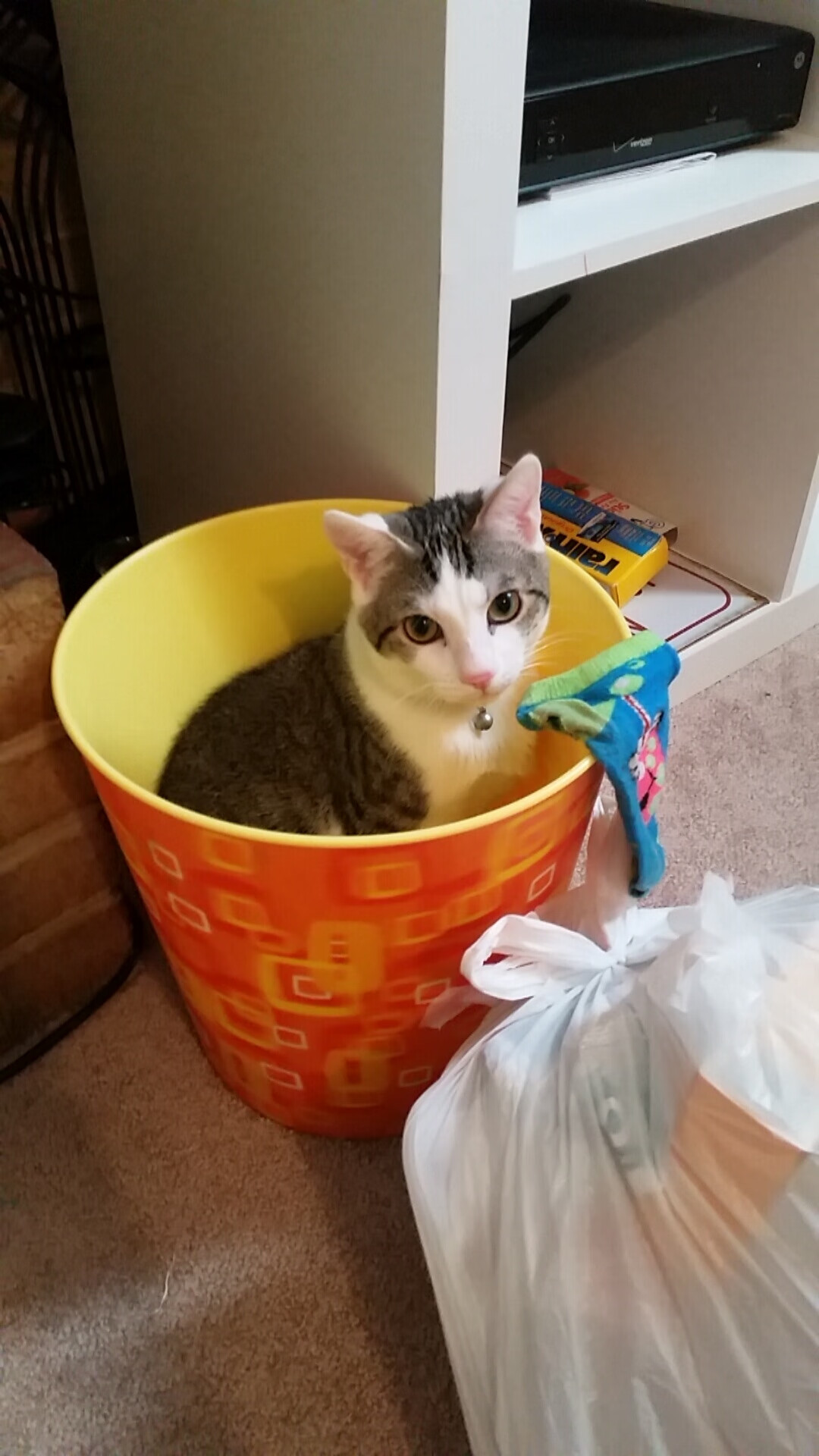 法甲球队通过数据聚类识别对手惯用进攻模式