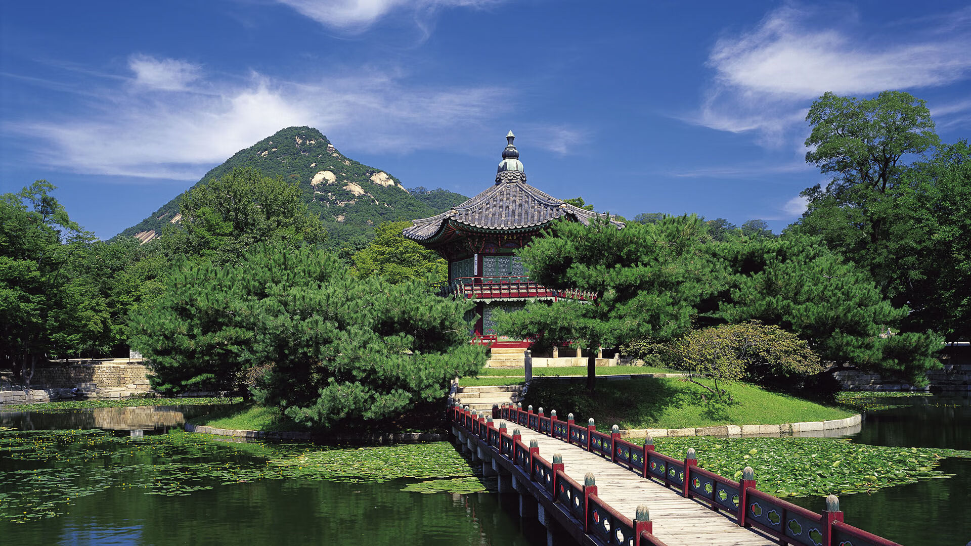 2024年埃及队表现:如何迎接全球顶级乒乓对抗,埃及乒乓球名将