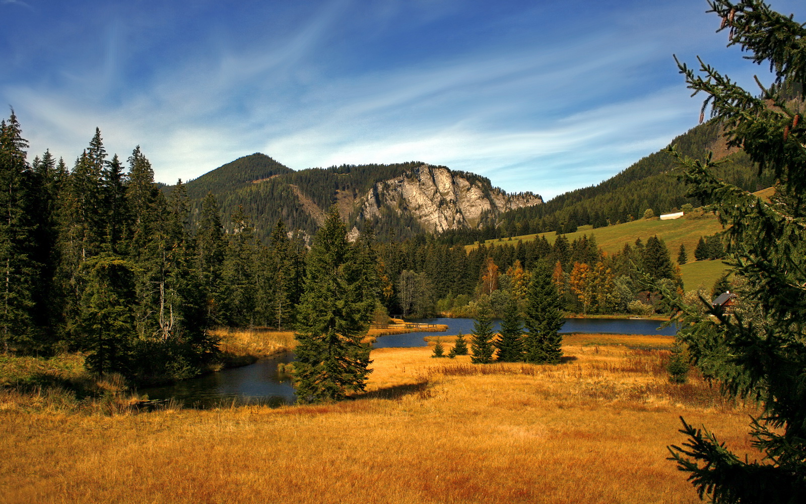 Palmer冷静射门展现顶级前锋特质,冷静属性