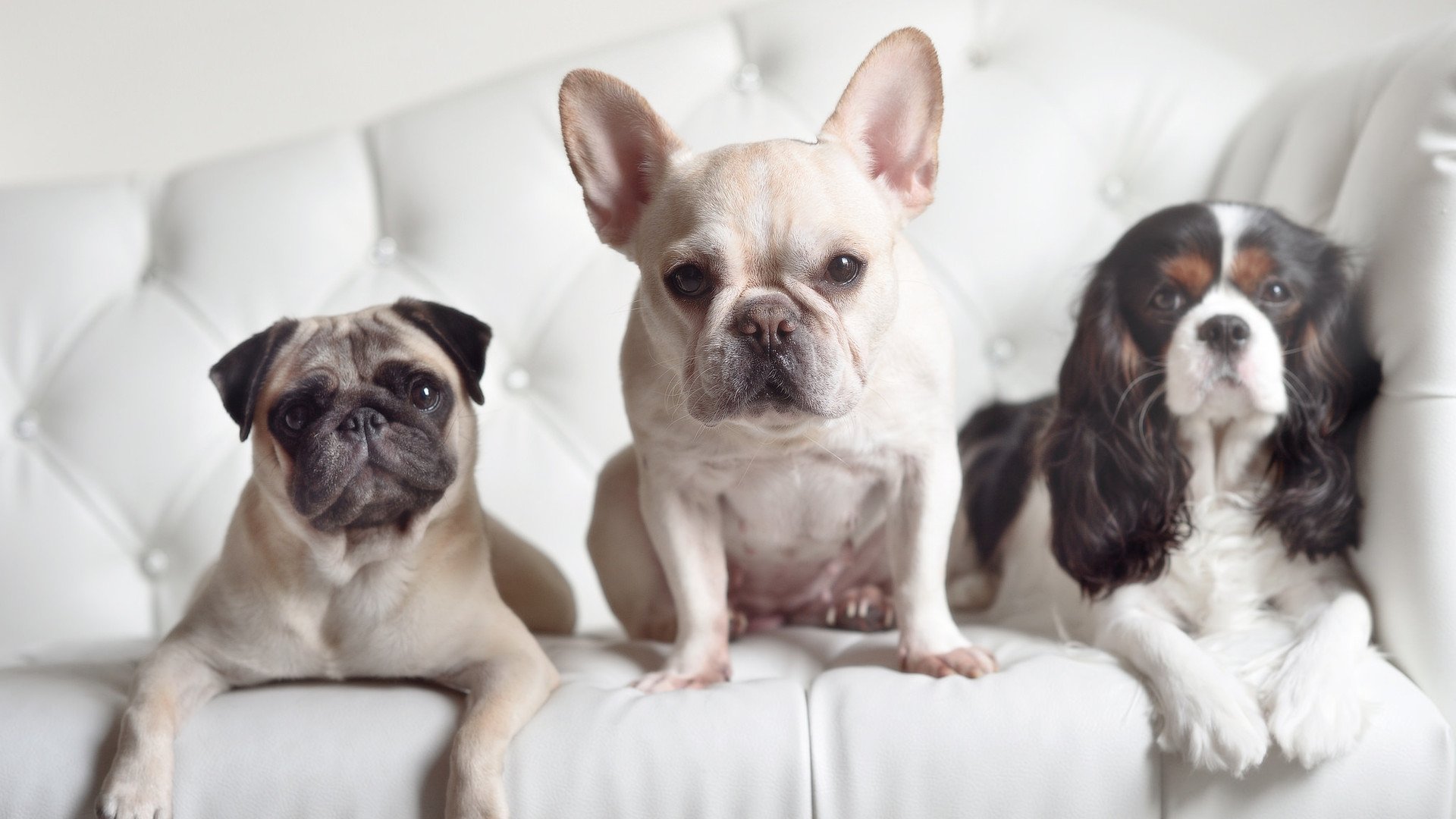 爱游戏中国官方登录入口网站-“天府新区沙滩合球挑战：快速、灵活、强悍”