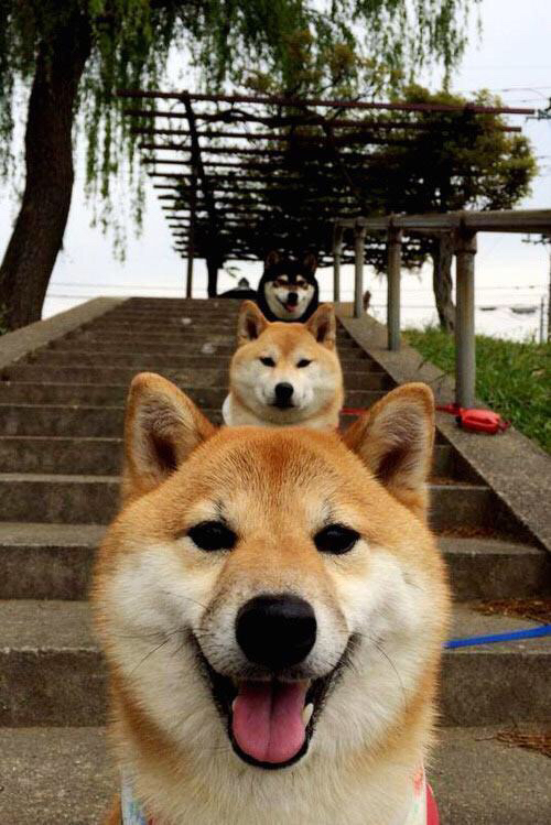 东亚杯中国青年队战平 球迷积极支持,东亚杯扩军