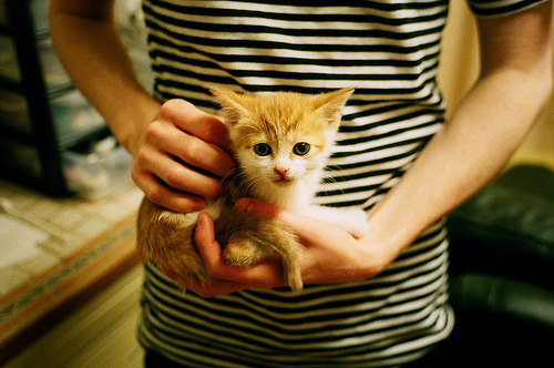 中国香港队如何在国际乒联混合团体世界杯中磨练整体实力,香港 乒乓球队