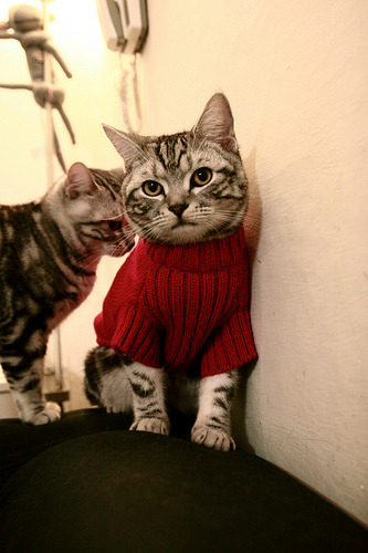 切尔西年轻球员培养计划持续推进,切尔西年轻中锋