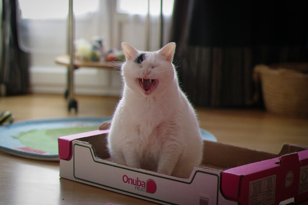 基层联赛缺乏规范管理,基层联赛缺乏规范管理怎么办