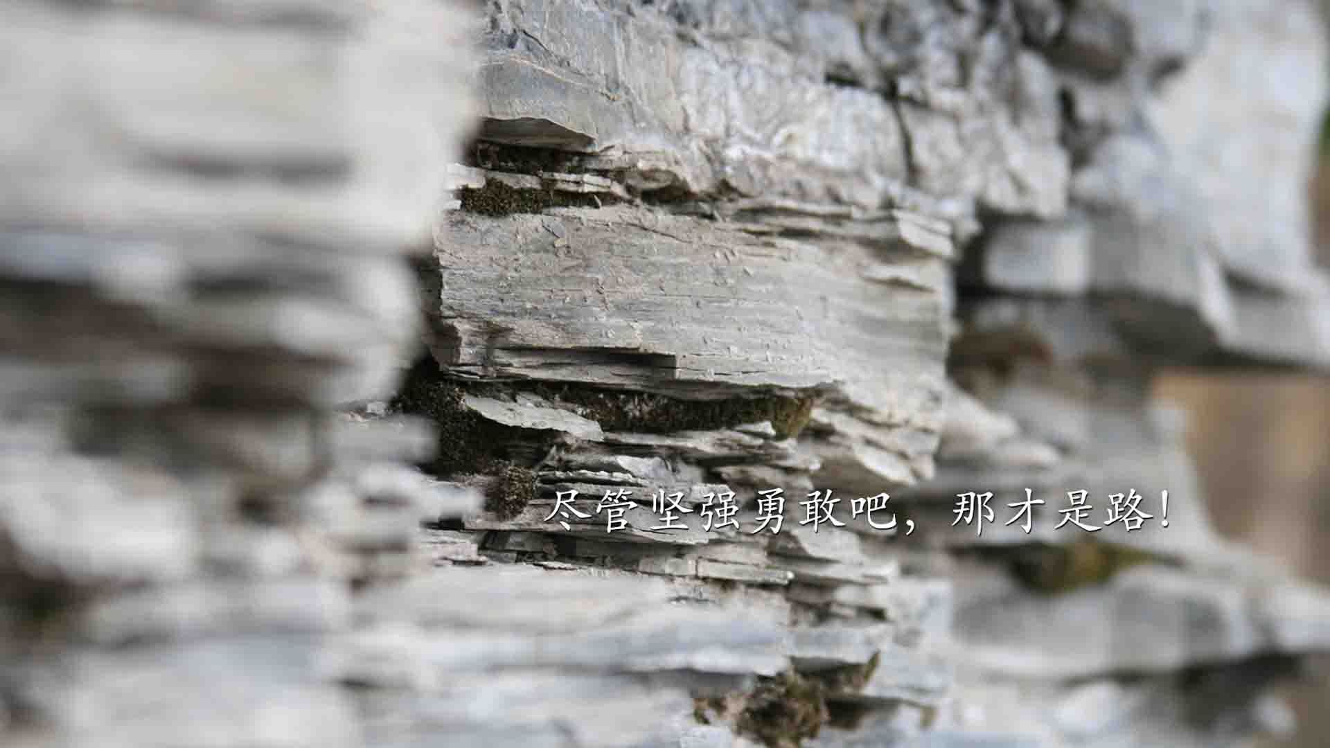 数据平台分析球员表现促进科学决策,球员数据分析软件