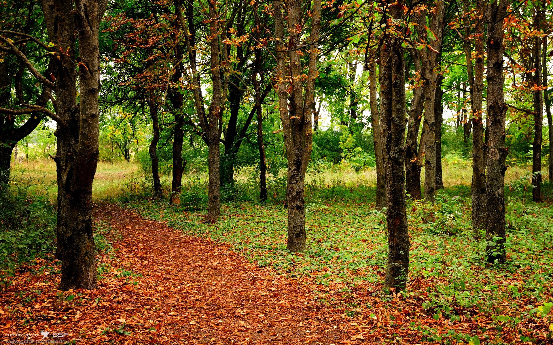 爱游戏-观众观赛体验区增设互动休闲空间，观众中心