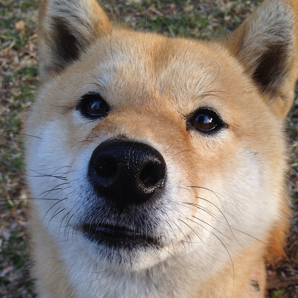 天气影响航班,比赛日程被动调整,天气航班延误会赔钱吗