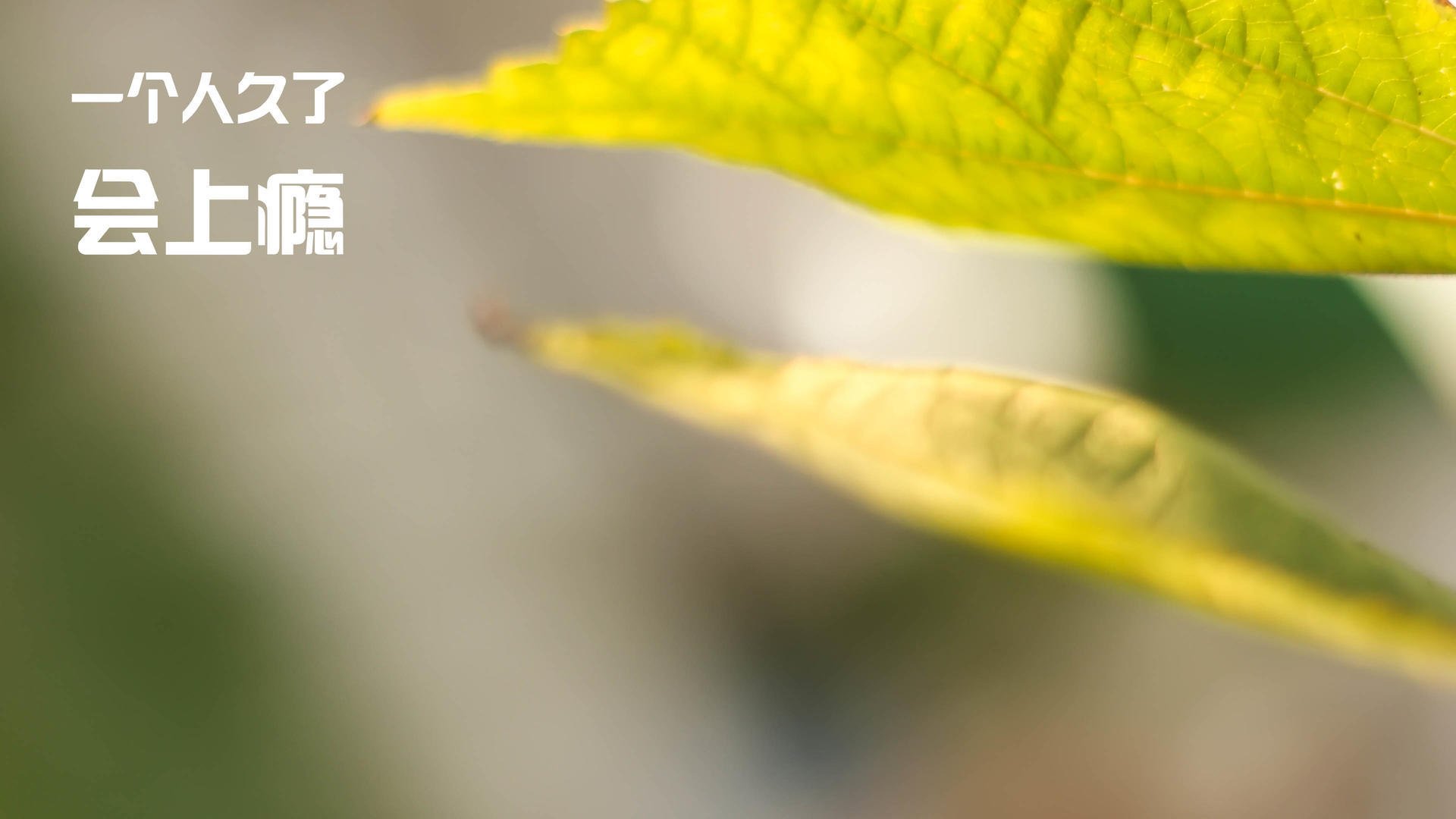 爱游戏体育平台-球员家属支持体系建立，心理与生活关怀同步推进，球迷家属