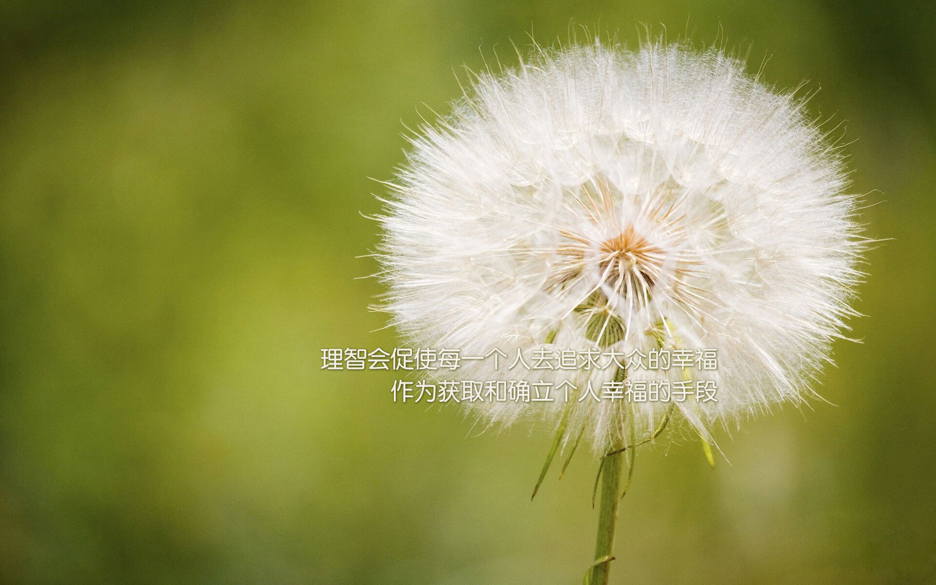 爱游戏下载-陈芋汐强势夺冠成为跳水新星，跳水冠军陈芋汐有多高