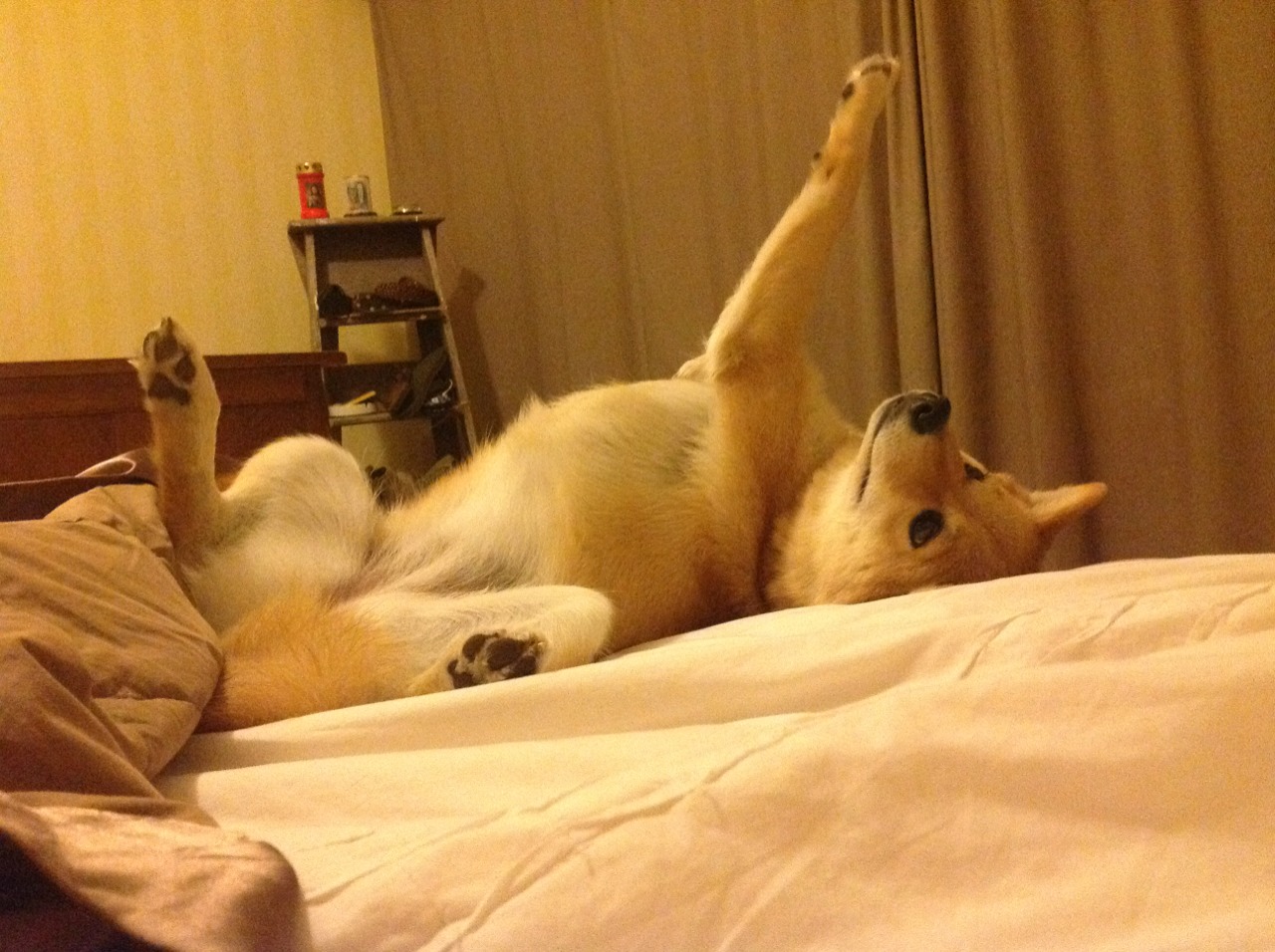 爱游戏 电竞-马修·图穆亚的进攻智慧与球场视野，帮助袋鼠队突破敌阵，马修f1