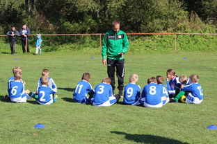 爱游戏app下载-中国篮球教练员战术创新能力培养机制,篮球训练教练简介